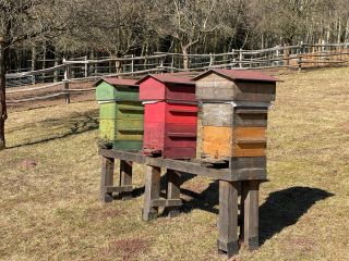 První jarní prolet včel. #farma #vcely #warre